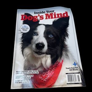 Inside Your Dog's Mind Easy Ways To Fix Bad Habits